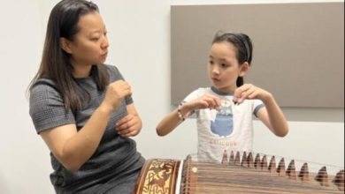 Strings of Harmony: Embracing the Journey of Guzheng Lessons in Singapore