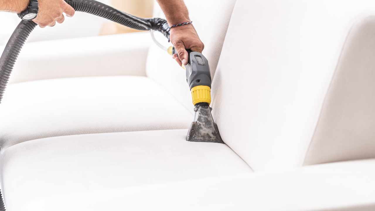 Couch Cleaning Christchurch: Tips for Maintaining a Spotless Sofa